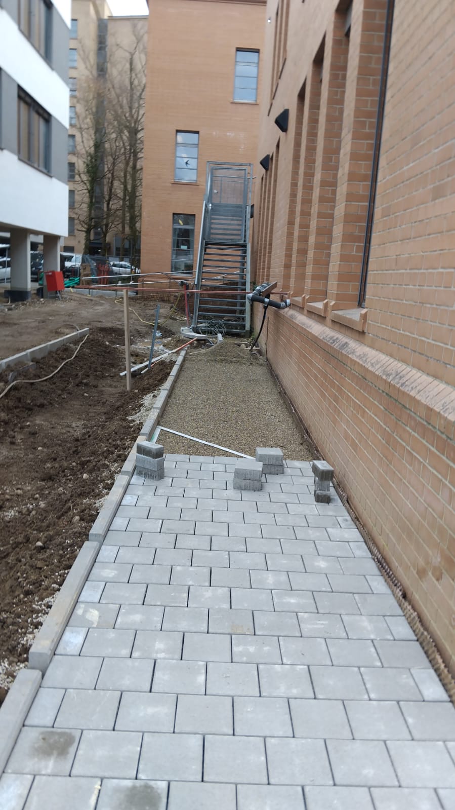 Gepflasterter Weg an einer Wohnanlage